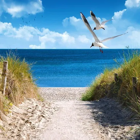 Wunderschoenes Ostsee-cottage Fuer 6 Personen * Großenbrode
